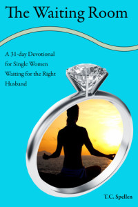 A 31-day Daily Devotional for Single Women Waiting for the Right Husband