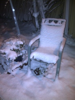 Songdove Books - Snow-covered chair