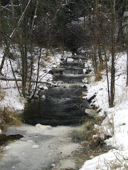 Songdove Books - Mission Creek Park