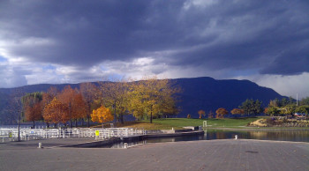 Songdove Books - Waterfront Park in Fall