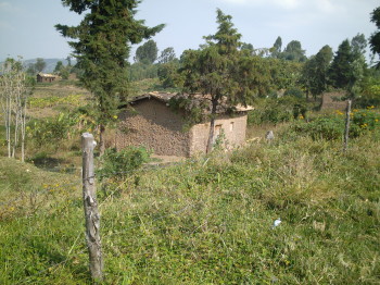 Songdove Books - Rwandan modern hut