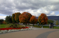 Songdove Books - Waterfront Park in Fall