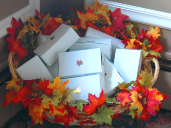 Songdove Books - Boxes in Basket