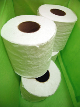 Songdove Books - Toilet Paper