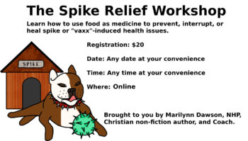 The Spike Relief Workshop